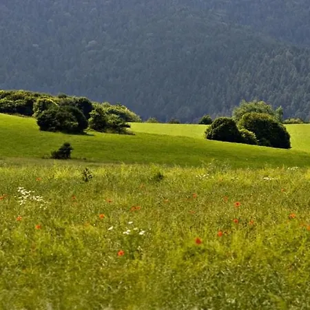 Gasthof Mlynarov Dvor